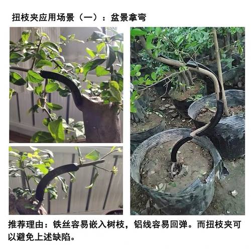 果树弯枝夹扭枝夹新型盆景造型拿弯工具新枝定型夹别枝开角拉枝器