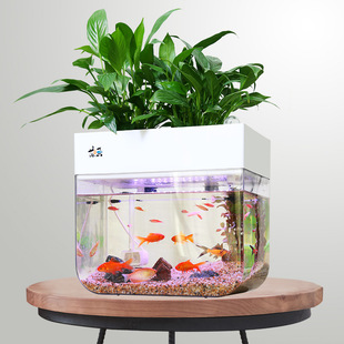 懒人鱼缸自循环免换水生态v金鱼缸水族箱鱼菜共生系统客厅小型家