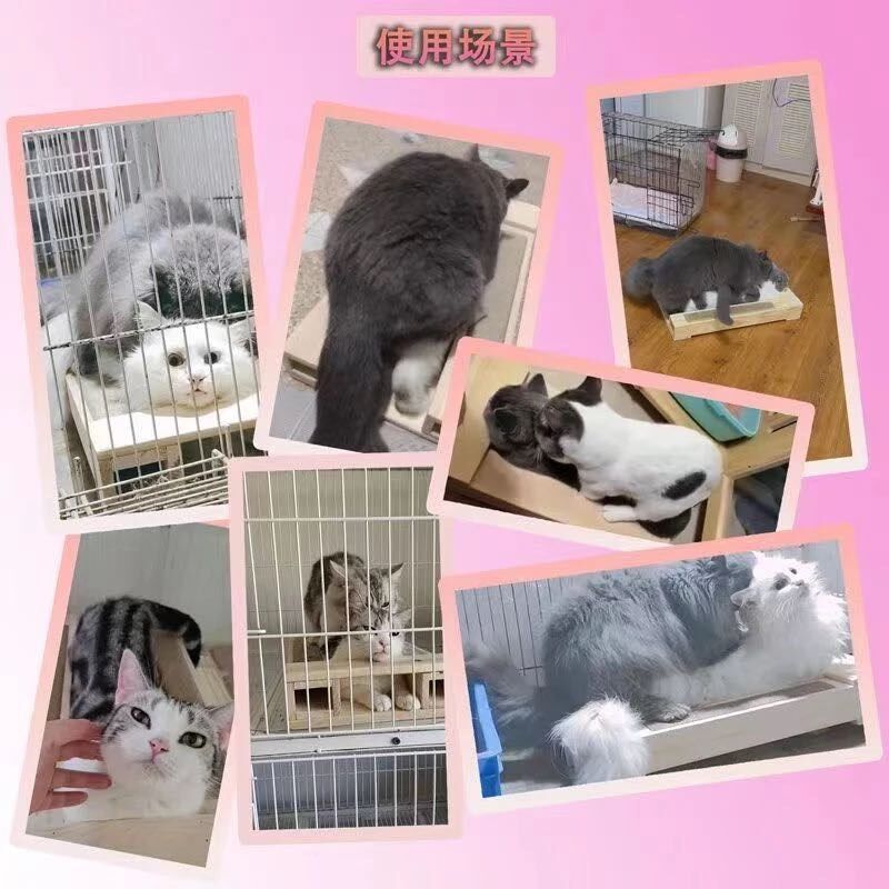 实木配猫架防e侧躺猫咪宠物矮脚猫配种公借配木架踏板工具配猫神
