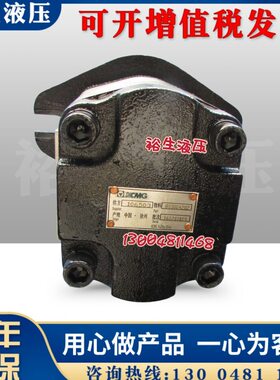 配件CX-F徐工压路-F2原厂J42泵齿轮泵8CM3B原装0025K50--G机030