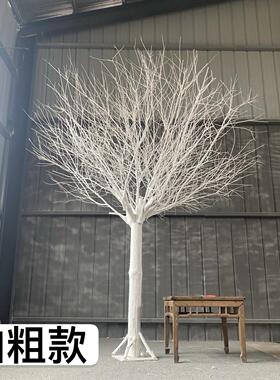 白色树干枝树干许愿树橱窗枯树杆仿真婚庆酒店庭院真树枝装饰造景