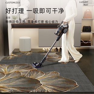 高级感入户门地垫轻奢进门地毯门垫家用耐脏门口脚垫防滑客厅垫子