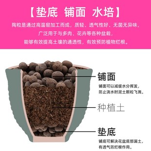 園藝輕質陶粒多肉養花用種植透氣透水大陶粒墊底花盆墊底石防漏土