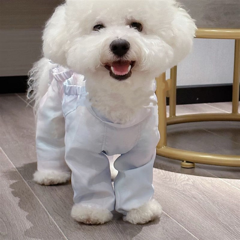 狗狗防尘保暖遛弯秋冬春夏防脏防虫轻薄四脚裤腿衣服护腿小型宠物