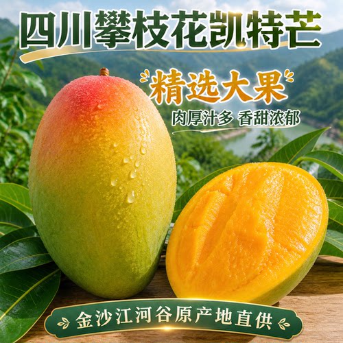 产地直发四川攀枝花凯特芒果