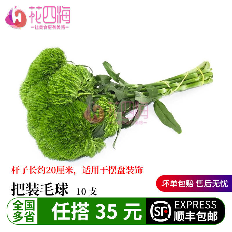 新鲜把装绿毛球10支酒店西餐蛋糕烘培冷菜品摆盘装饰点缀
