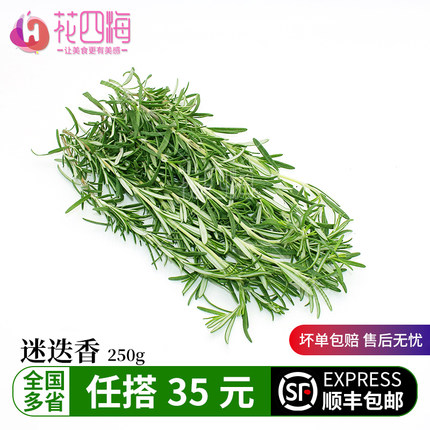 新鲜迷迭香250g 迷失迷迪香烧烤烘焙煎牛排调料西餐艾菊 装饰香草
