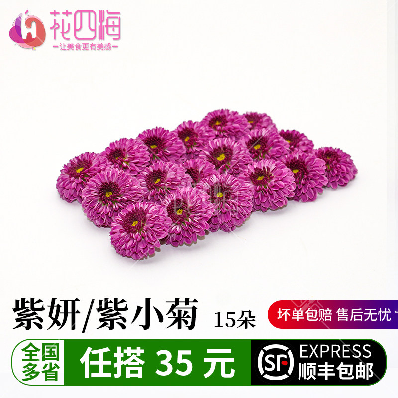 新鲜紫彩菊花15朵紫妍 纽扣小雏菊 西餐酒店餐饮蛋糕装饰鲜花点缀