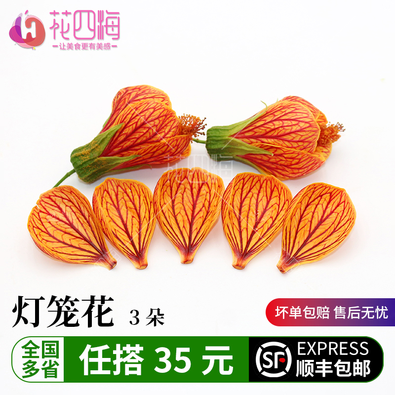 新鲜灯笼花物美价廉餐饮酒店摆盘