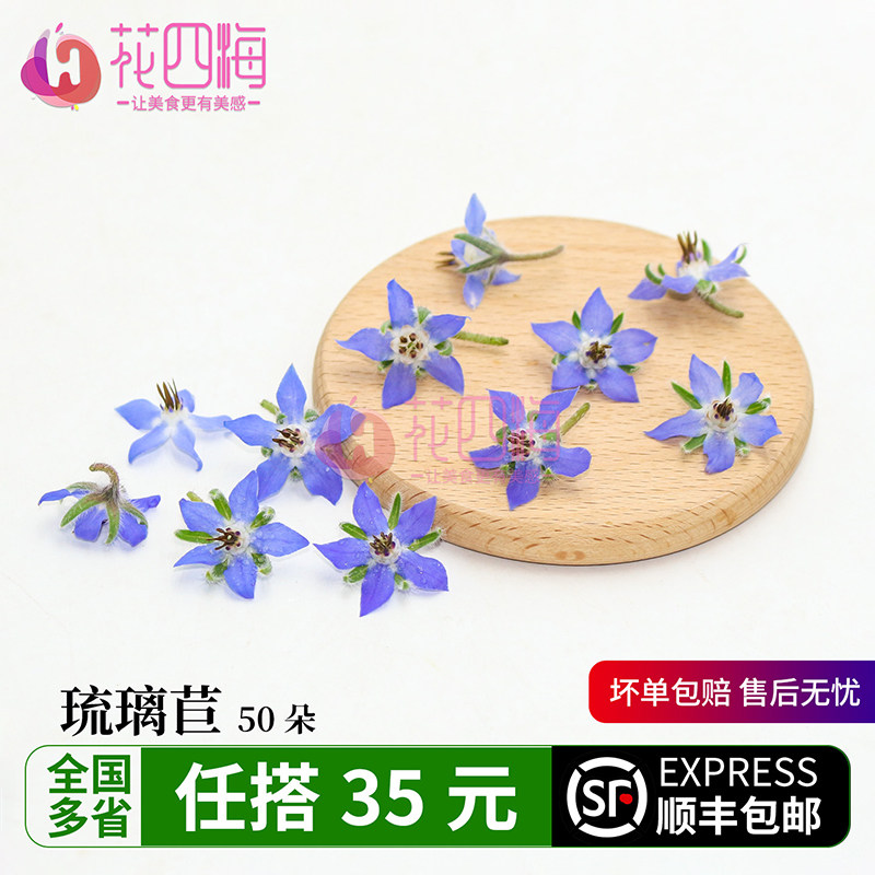 新鲜琉璃苣花50朵 星形蓝星花 火锅沙拉西餐中餐装饰点缀