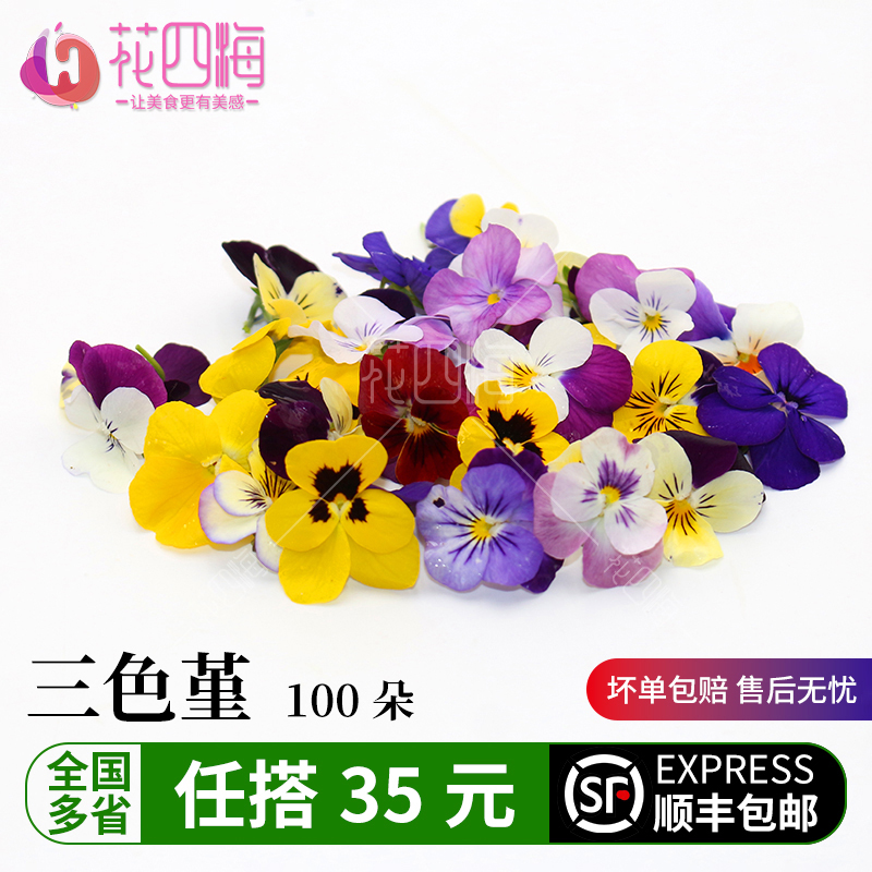 新鲜多彩三色堇 三色花 混色100朵 西餐摆盘菜装饰餐饮摆盘鲜花草
