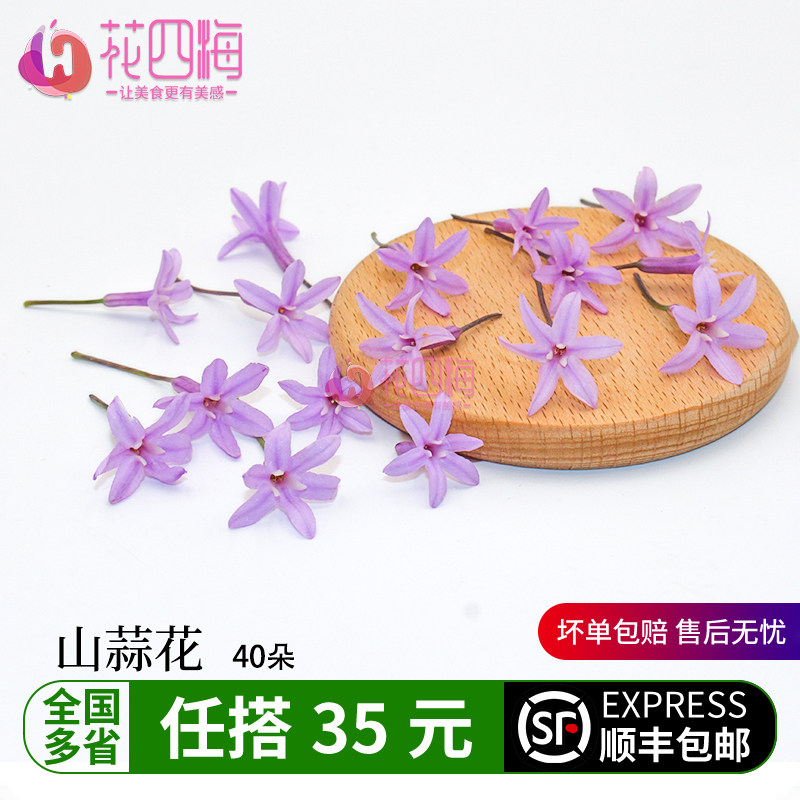 新鲜山蒜花 星光璀璨 繁星花 酒店西餐日料摆盘装饰鲜花草点缀