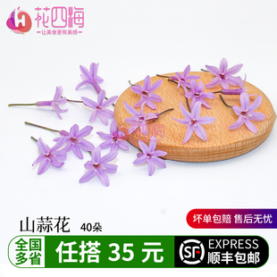 新鲜山蒜花 星光璀璨 繁星花 酒店西餐日料摆盘装饰鲜花草点缀