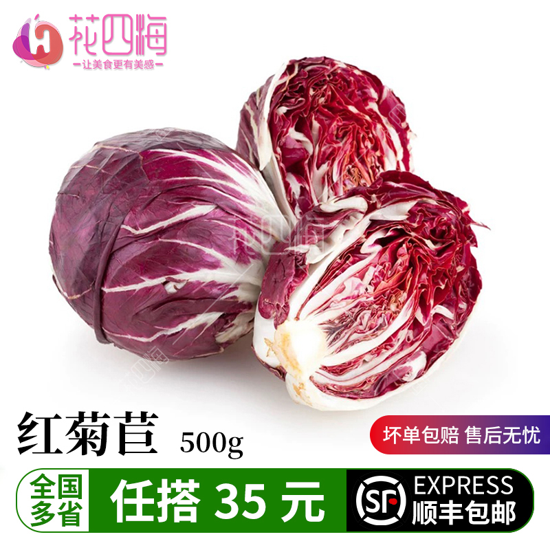 新鲜蔬菜 红菊苣 落地球生菜 红叶包菜 沙拉蔬菜 500g