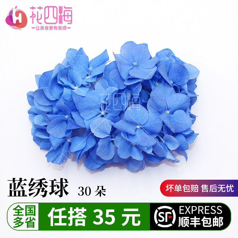新鲜蓝色绣球花 西餐料理 酒店饭店冷盘摆盘装饰花草 30朵/盒