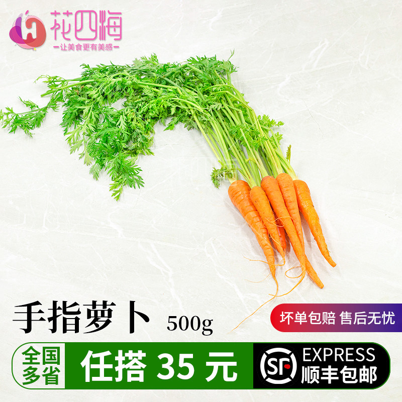 新鲜手指胡萝卜带叶500g 迷你胡萝卜蔬菜沙拉酒店西餐摆盘装饰菜