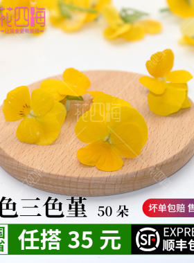 新鲜黄色三色堇 50朵三色花 西餐摆盘菜装饰餐饮摆盘鲜花草点缀花