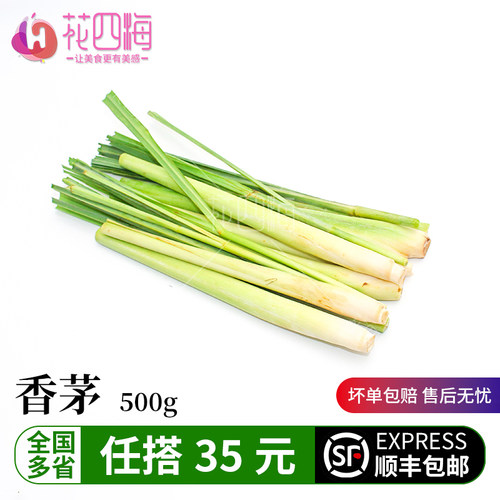 新鲜香茅草物美价廉冬阴功汤料