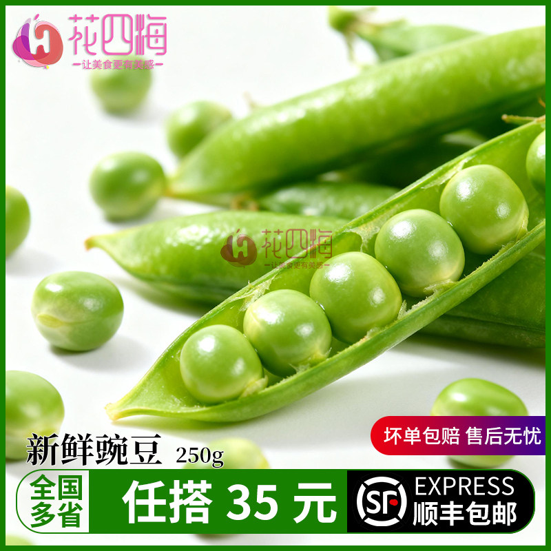 新鲜蔬菜 新鲜豌豆带壳豌豆 新鲜豌豆粒当季现剥 可食用摆盘装饰