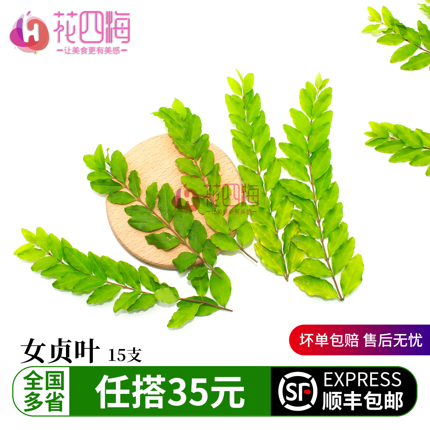 新鲜女贞叶 日料刺身造景用 烘焙蛋糕盘饰西餐摆盘装饰花草点缀