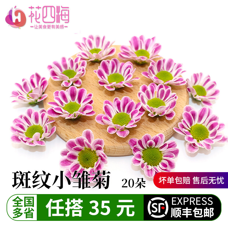 新鲜小雏菊摆盘装饰花草冷艺酒店海鲜蛋糕装饰花网红斑纹菊雏菊