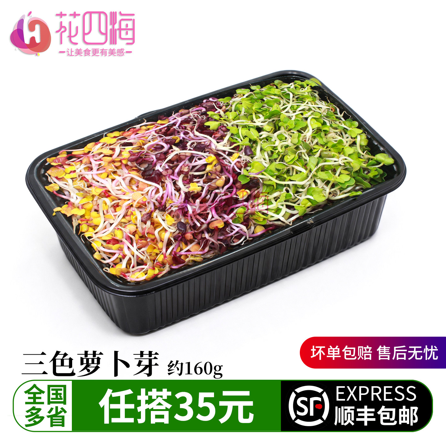 新鲜三色萝卜芽 彩色芽苗 轻食素食凉拌沙拉西餐冷菜芽苗摆盘装饰