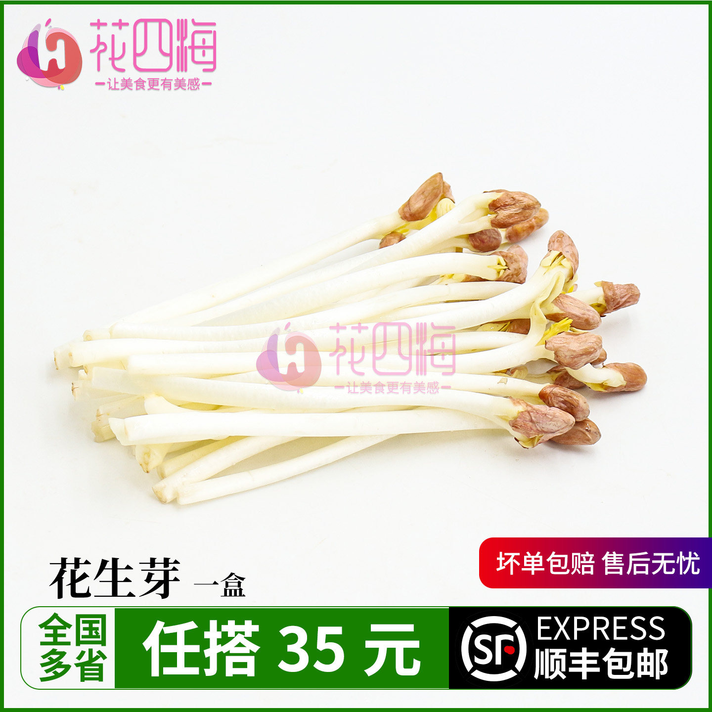 新鲜花生芽 长寿芽 盒装花生苗芽菜食用蔬菜沙拉西餐火锅食材配菜