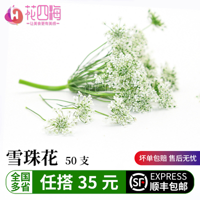 新鲜采摘雪珠花价优西餐烘焙摆盘