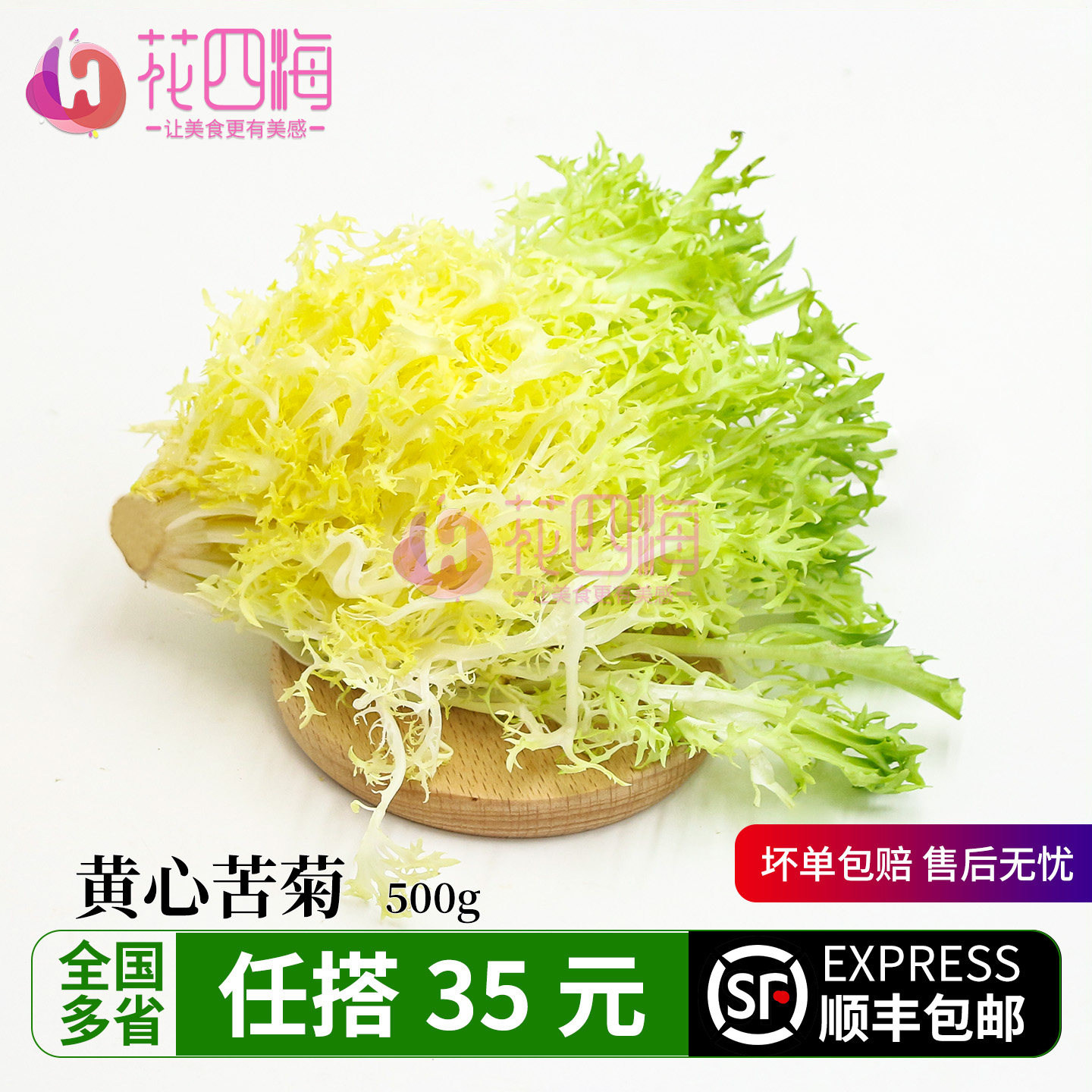 新鲜黄心苦菊250g 现摘嫩叶狗牙生菜 黄九芽微苦回甘轻食沙拉配菜