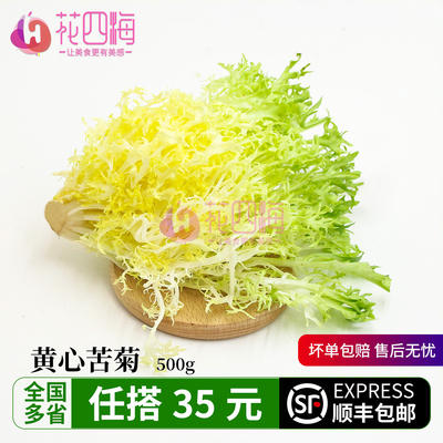 新鲜黄心苦菊250g 现摘嫩叶狗牙生菜 黄九芽微苦回甘轻食沙拉配菜