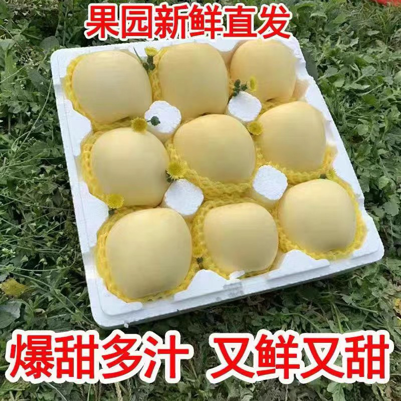 纯甜无酸 脆甜多汁 现摘现发