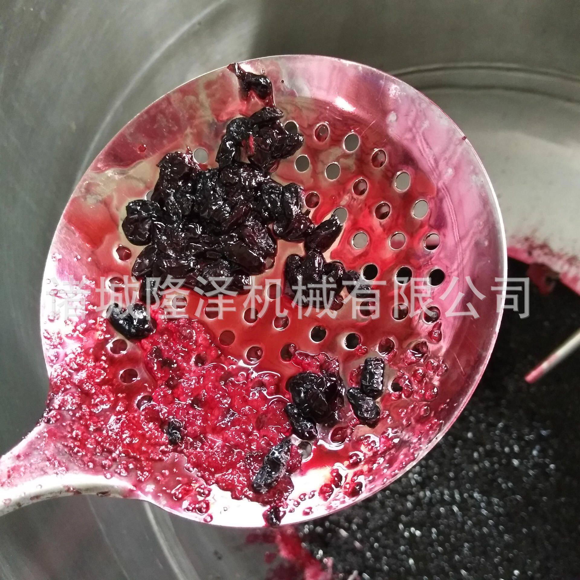 芒果真空渗糖设备 水果糖渍锅 果脯蜜饯浸糖锅 果脯浸渍设备
