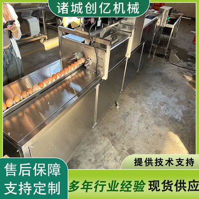 全自动洗蛋机 多功能咸鸭蛋清洗机 全自动蛋类清洗机