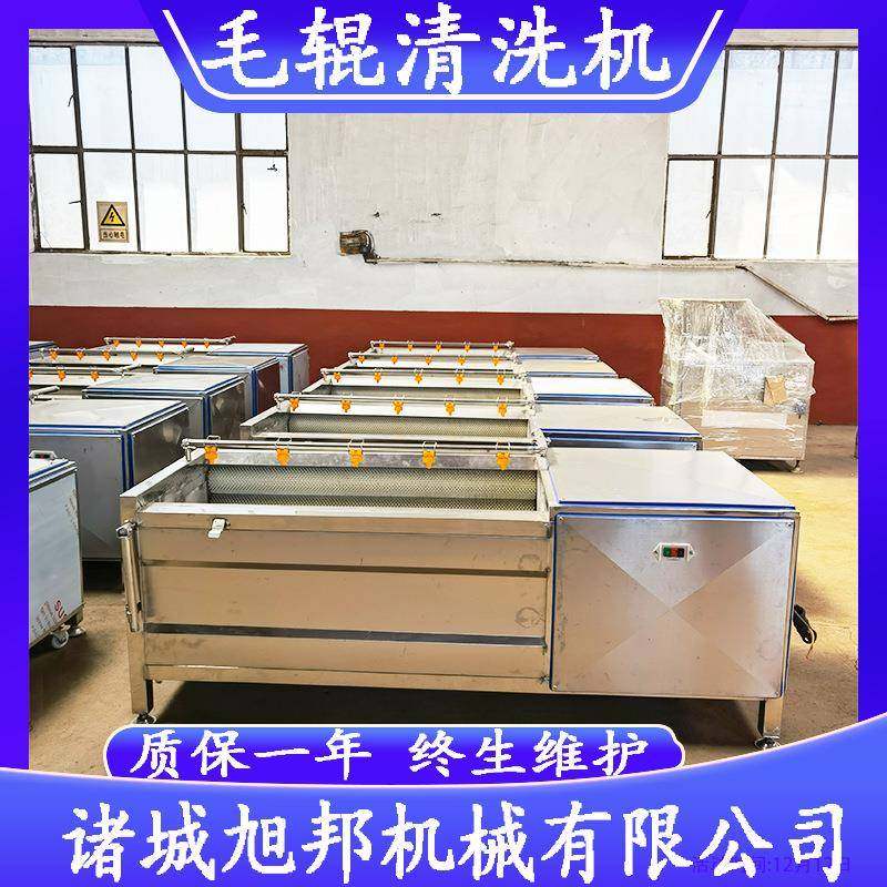 猪蹄毛辊清洗机 鲜姜土豆莲藕清洗去皮机 山药马蹄净菜加工设备,清洗/食品/商业设备,肉制品加工设备,淘宝优惠券,粉丝福利购,淘宝优惠卷