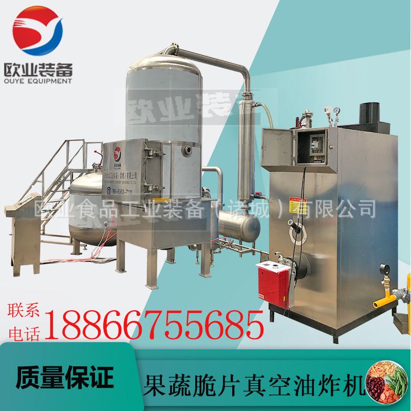 油炸果蔬脆片机器 低温真空油炸机 小型 大型都可 厂家直供