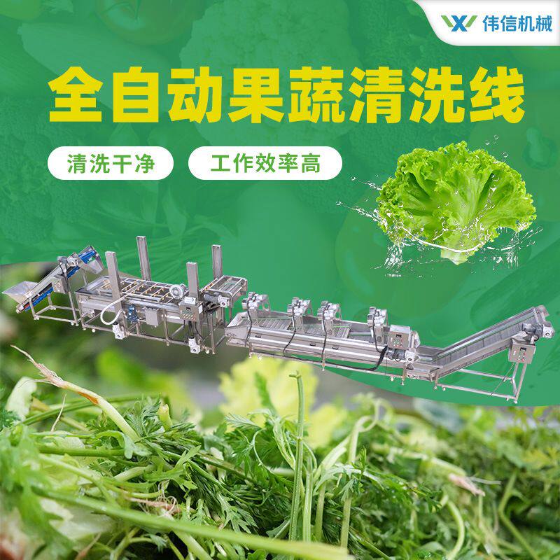 大白菜娃娃菜净菜加工生产线 免洗免切叶类蔬菜净菜加工设备