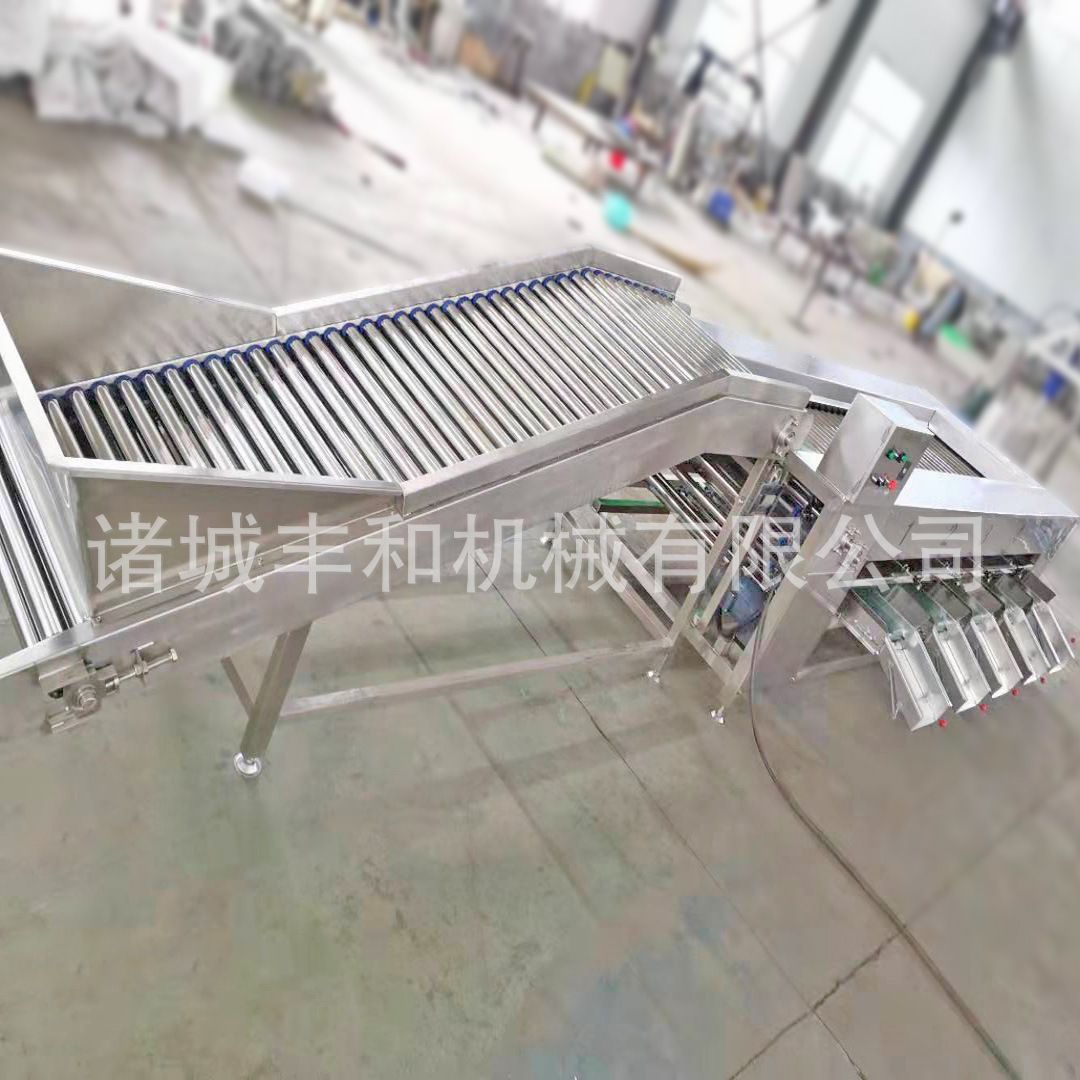 水果大小分级机 牛油果分级机 西柚分级机 全不锈钢分级机厂家
