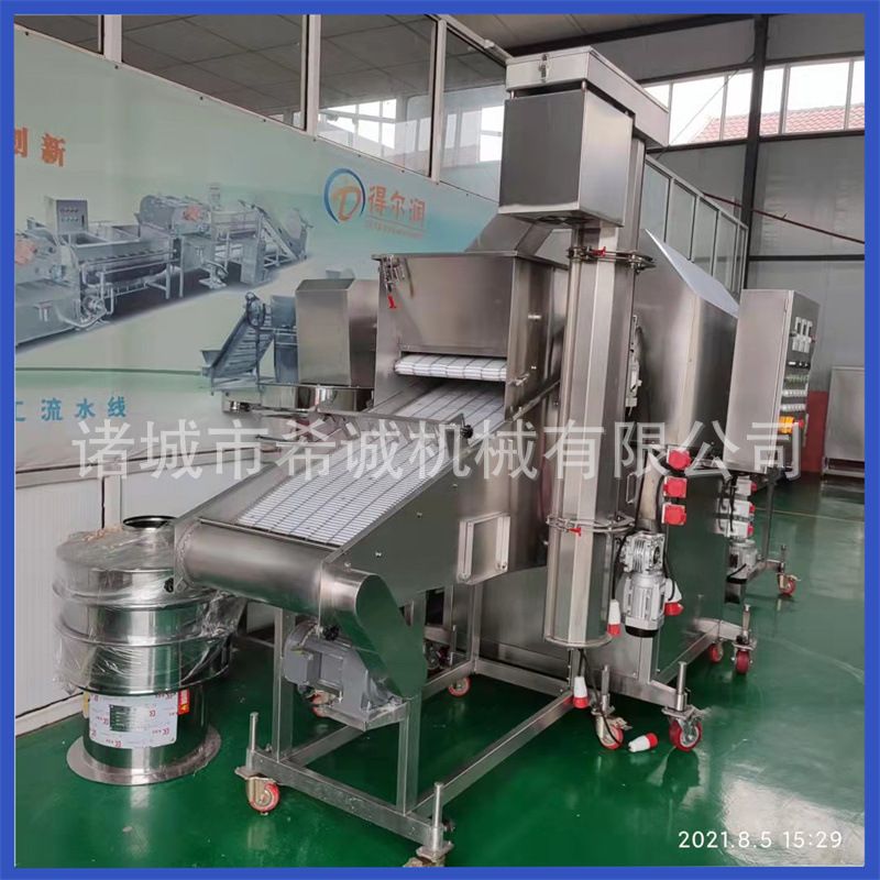 核桃仁裹糠上浆上糖机 全自动不锈钢裹糖稀设备 琥珀核桃仁裹糖机