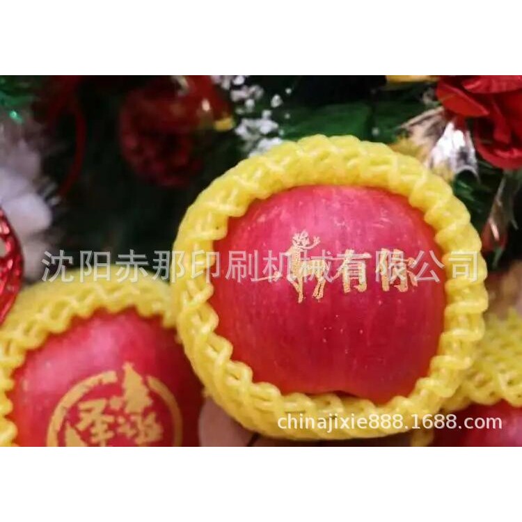 天津苹果印字机 水果表面图案文字印刷移印机