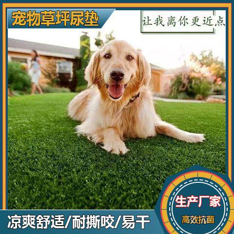 草坪宠物地垫铺地尿垫狗狗厕所假草皮草坪垫人造室内户外防水易洁