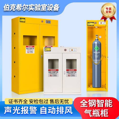 定制 实验室安全柜煤气罐柜钢瓶柜全钢智能报警排风防爆气瓶柜