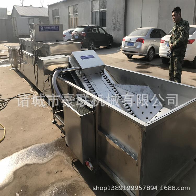 2排全自动洗蛋机 多规格无破损自动洗蛋机 设备从1排到6排都有