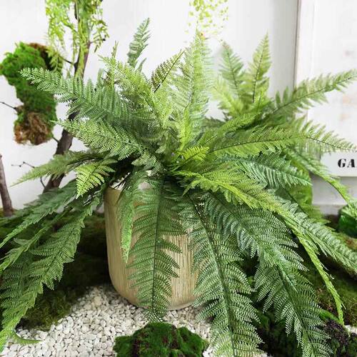 仿真手感蕨类植物波斯草 仿真蕨类植物蕨草植物墙配材插花装饰山