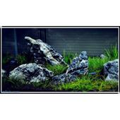 包邮 精品青龙石 纯手工盐酸精洗英德石 满5斤 黑白石 鱼缸造景石