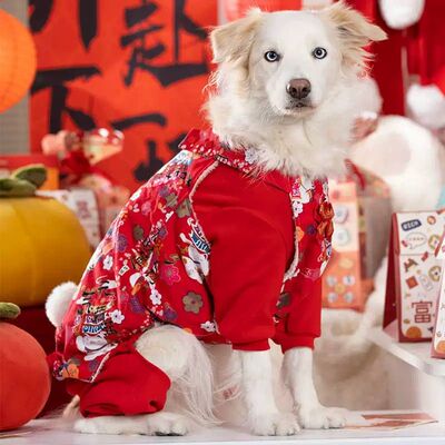 它小灶新年春节狗狗德绒保暖包肚全包四脚衣打底衣秋冬厚款红色