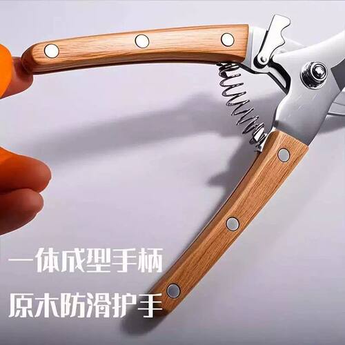进口不锈钢果树修枝剪园艺修花剪花枝花艺剪强力水果专用剪葡萄剪