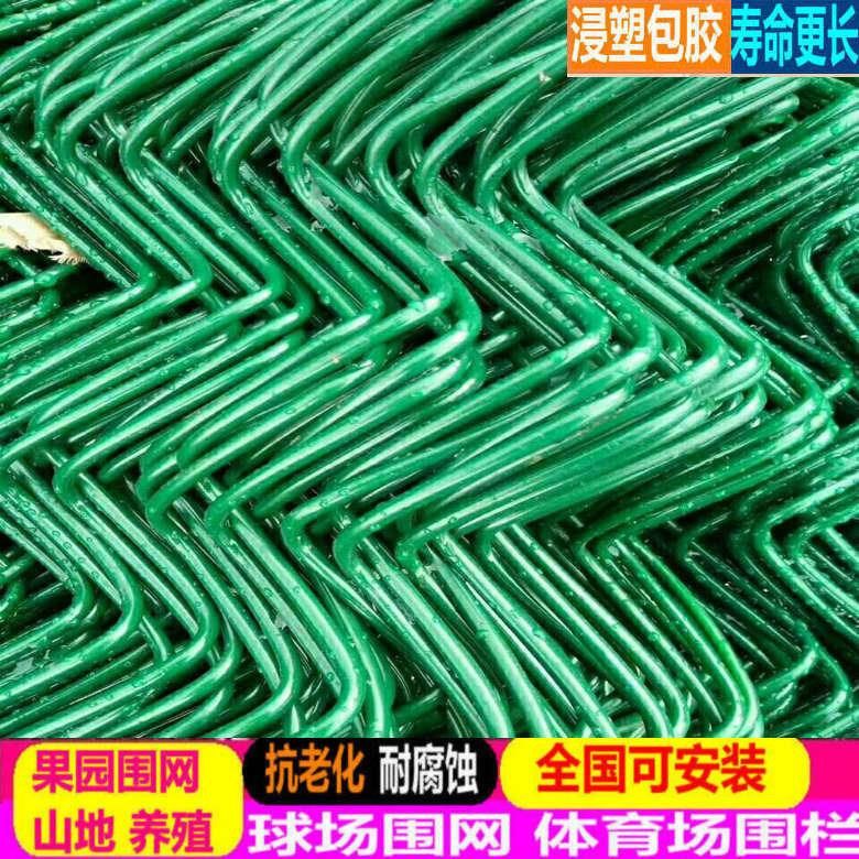 广东广州PVC包塑勾花铁丝钢丝网球场护栏网动物园果园防撞防护围