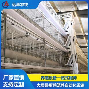 四层蛋鸭养殖自动设备江苏南通蛋鸭设备制造商 H型四层叠蛋鸭笼