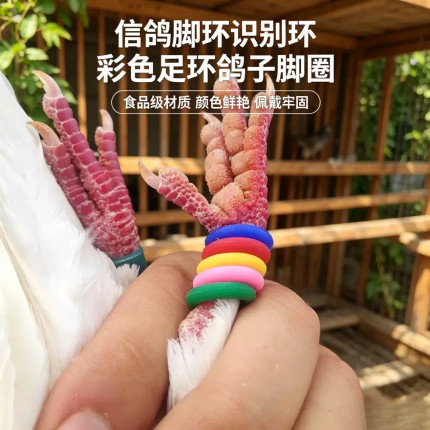 信鸽脚环识别环彩色硅胶足环赛鸽鸽子脚圈鸟类识别标记环配件2mm