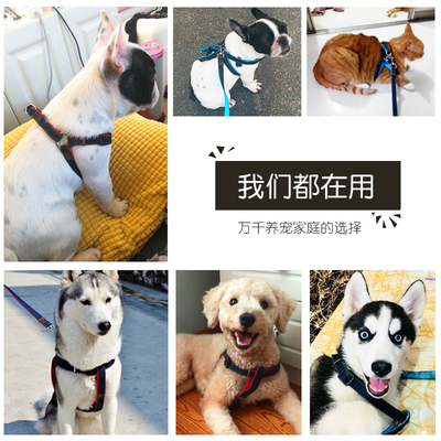 狗狗牵引绳可调节胸背带狗绳子链子遛狗中型大型犬萨摩耶拉布拉多
